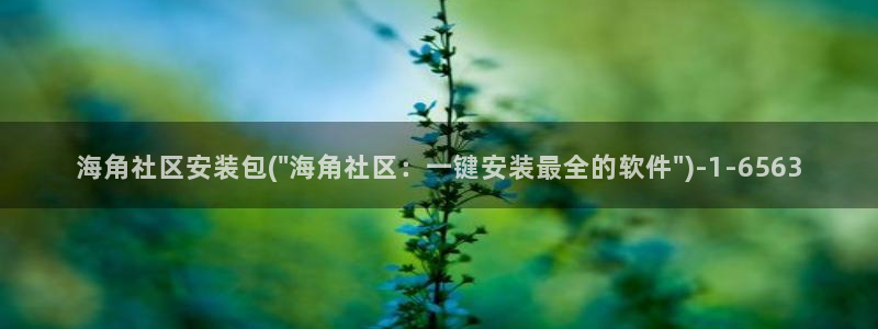 hjf海角社区：海角社区安装包(\