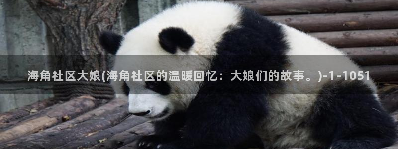 海角社区4kky：海角社区大娘(海角社区的温暖回忆：大娘们的故事。)