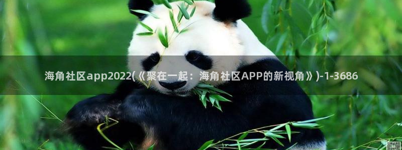 怎么进海角社区论坛：海角社区app2022(《聚在一起：海角社区APP的新视角》)