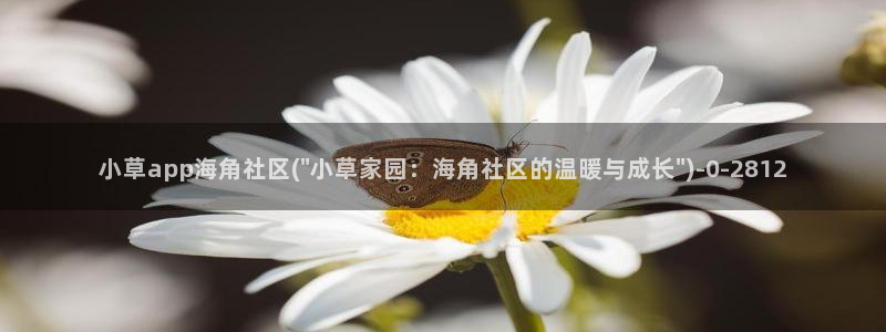 海角社区怎么给联系方式